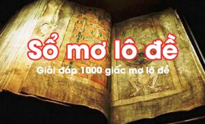 những giấc mơ có liên quan mật thiết đến những con số